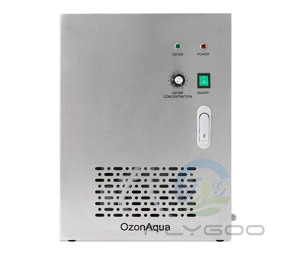 Flygoo 2000L/H Reverse Osmosis Ozone Generator Water Treatment for Drinking Water